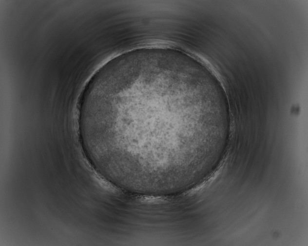 X0000100860835200807181134