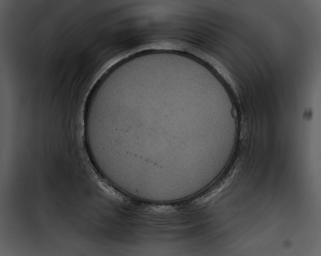 X0000100860837200807181134