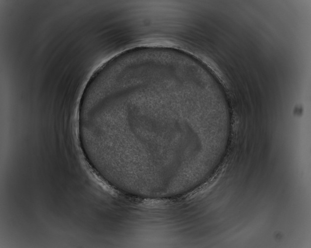 X0000100860840200807181134