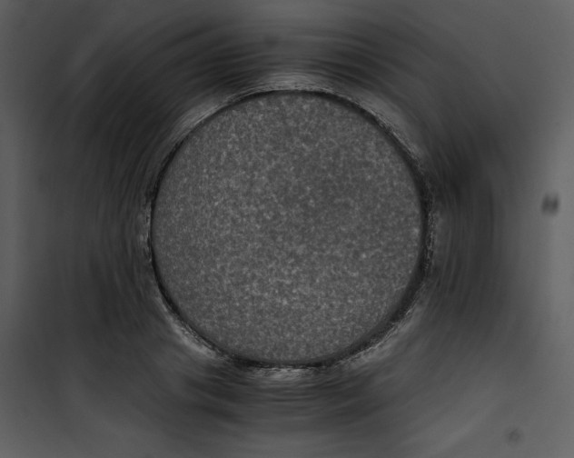 X0000100860841200807181134