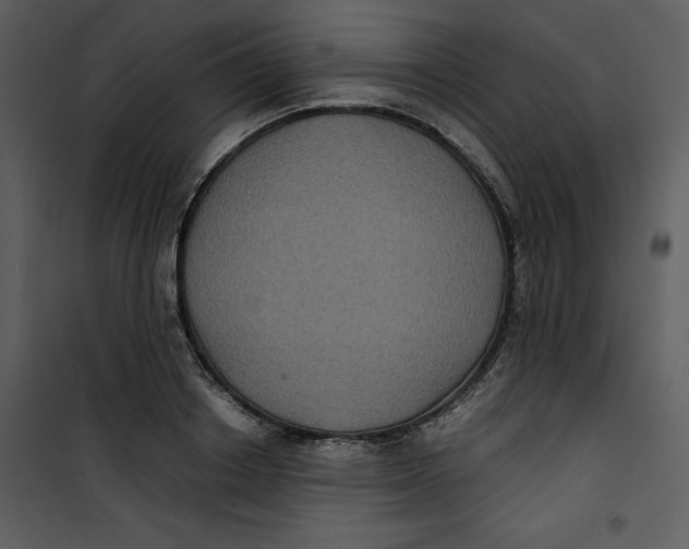 X0000100860842200807181134