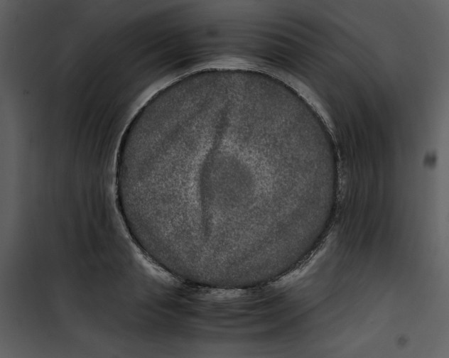 X0000100860845200807181134