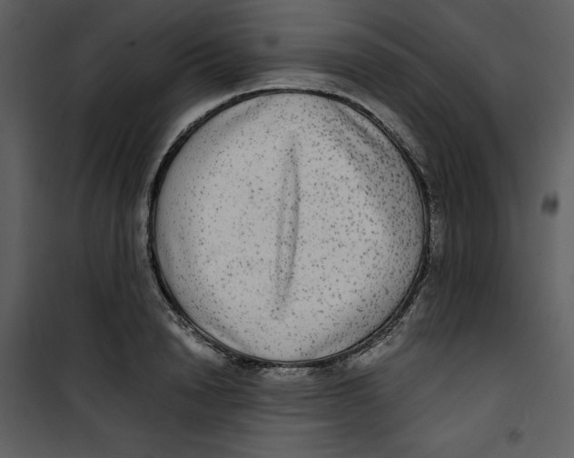 X0000100860846200807181134