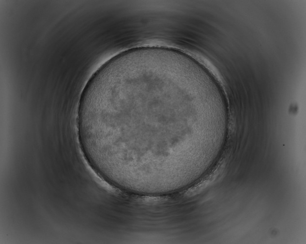 X0000100860847200807181134