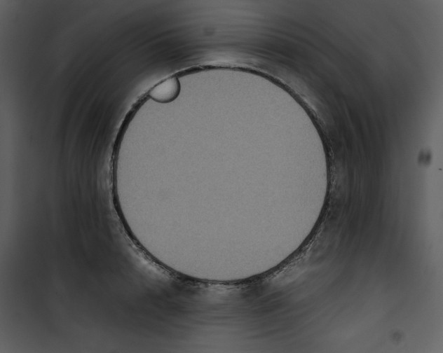 X0000100860848200807181134