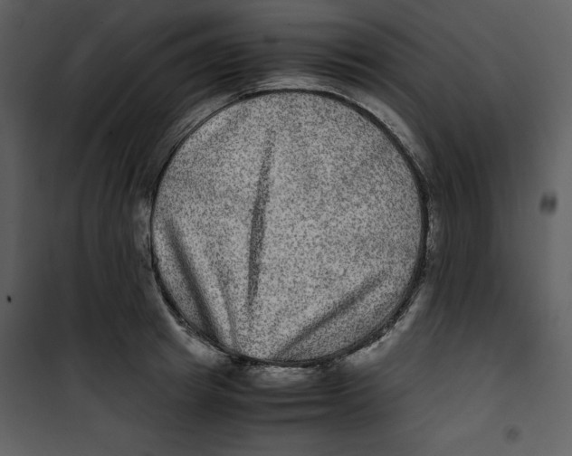 X0000100860849200807181134