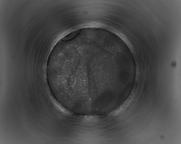 X0000100860850200807181134