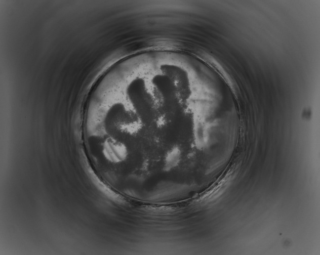 X0000100860851200807181134