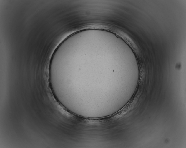 X0000100860852200807181134