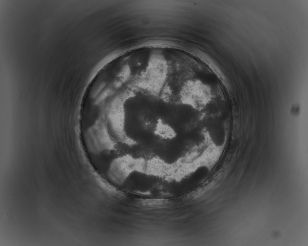 X0000100860853200807181134