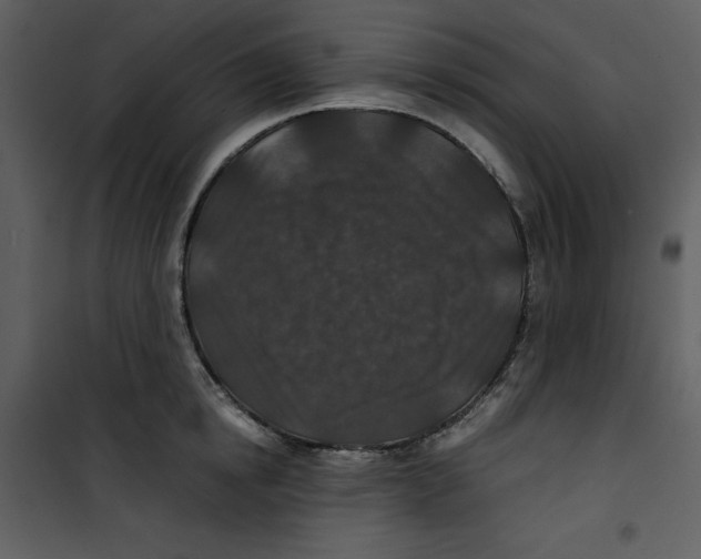 X0000100860854200807181134