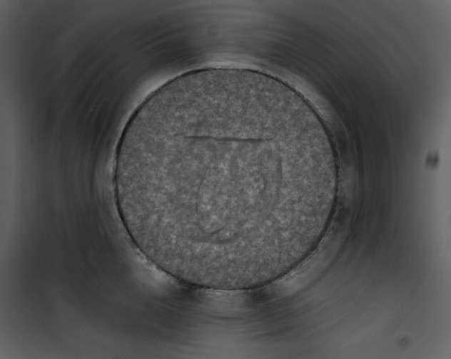 X0000100860856200807181134