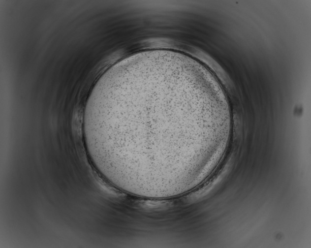 X0000100860857200807181134