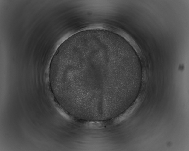 X0000100860858200807181134