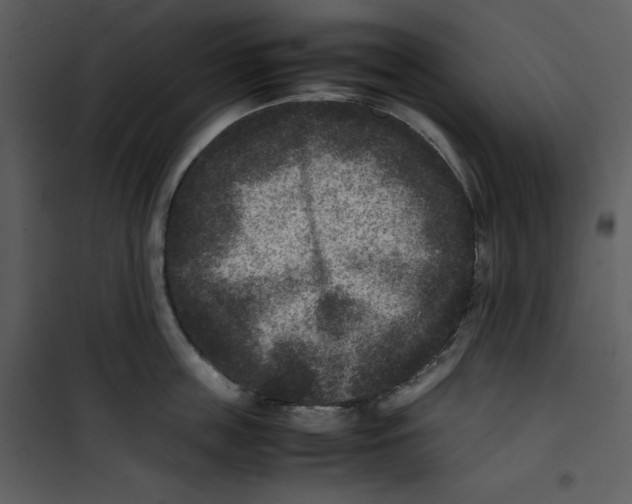 X0000100860859200807181134