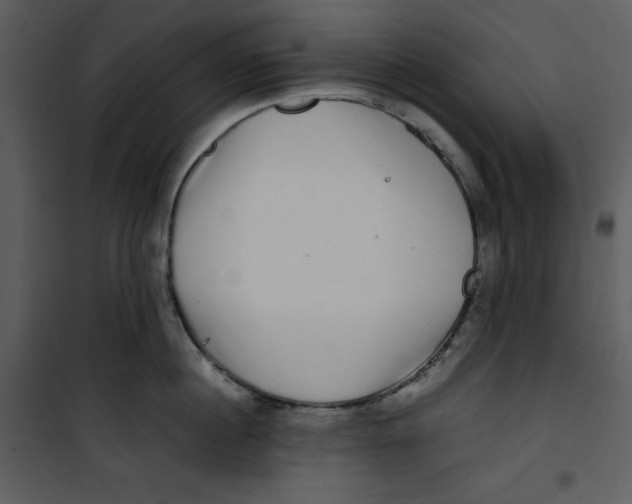 X0000100860860200807181134