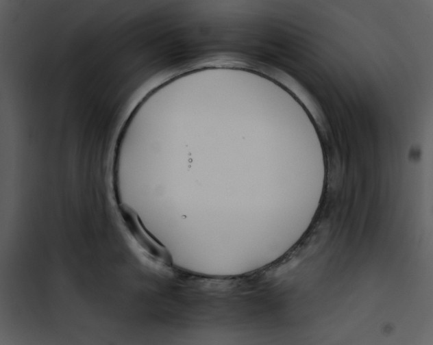 X0000100860861200807181134