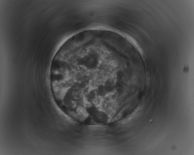 X0000100860863200807181134