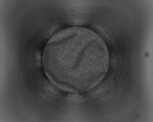 X0000100860866200807181134