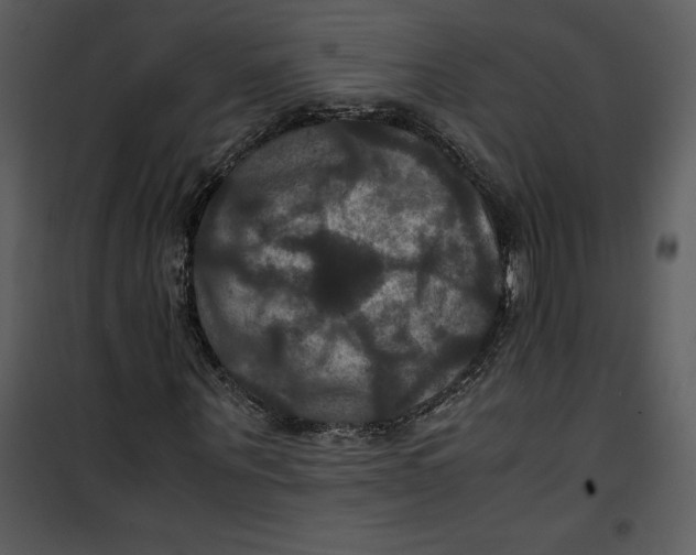 X0000100860867200807181134