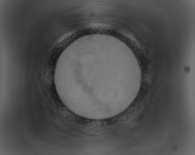 X0000100860869200807181134