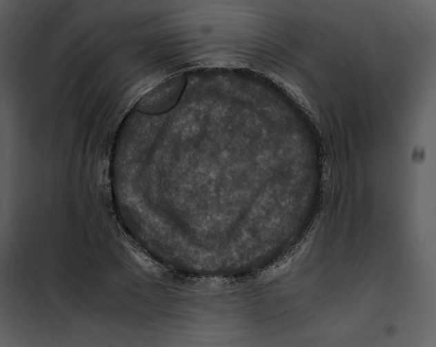 X0000100860881200807181133