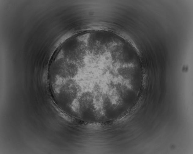 X0000100860882200807181133