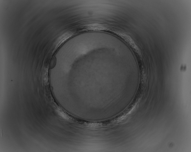 X0000100860889200807181133