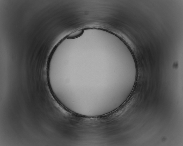 X0000100860902200807181133