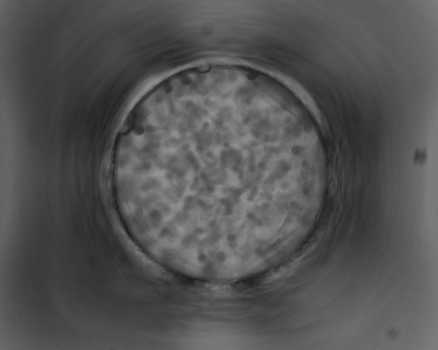 X0000100860911200807181133