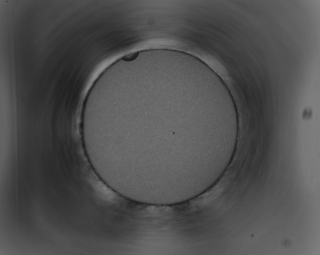 X0000100860912200807181133