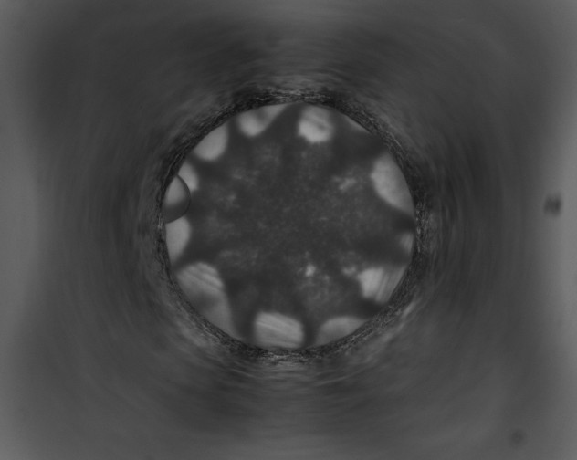 X0000100860913200807181132