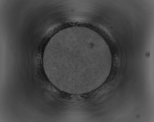 X0000100860918200807181132