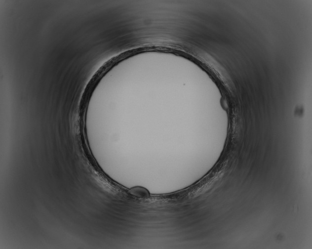 X0000100860924200807181132