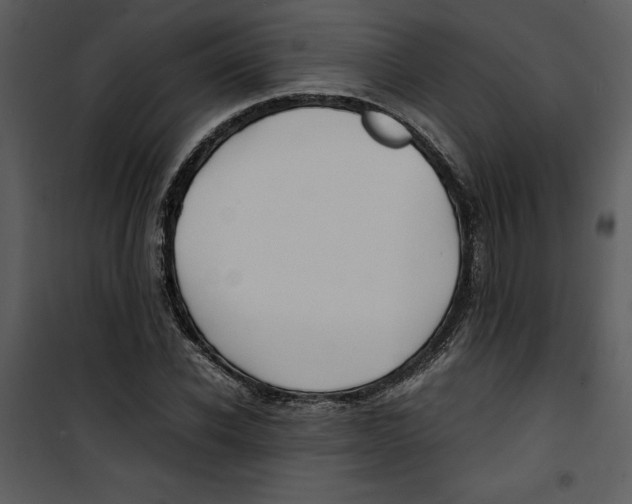 X0000100860926200807181132