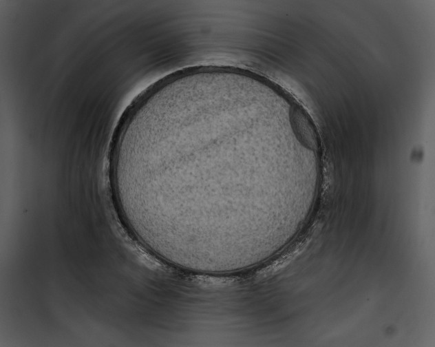 X0000100860928200807181132