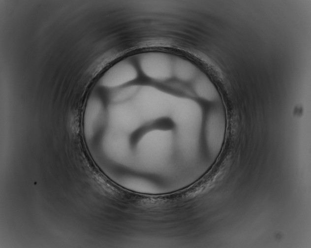 X0000100860929200807181132