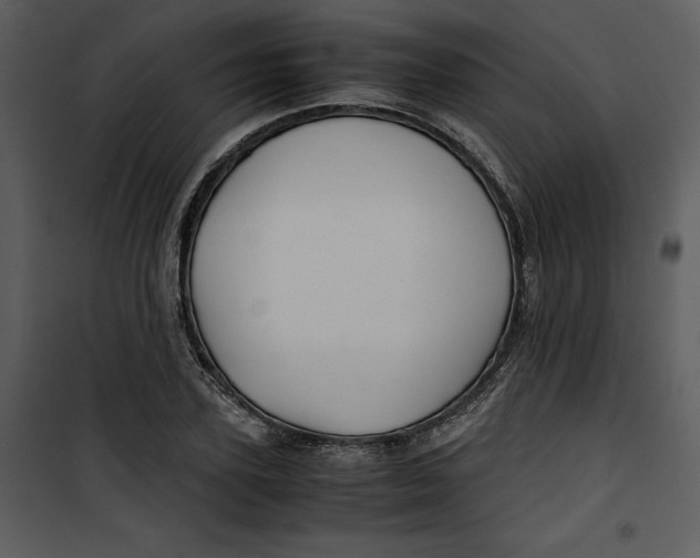 X0000100860931200807181132