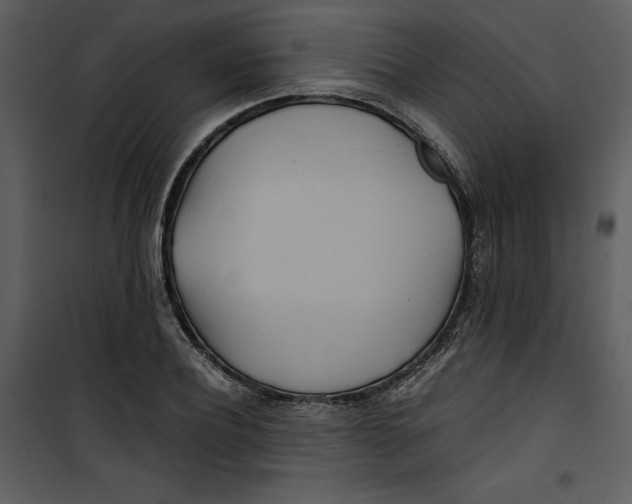 X0000100860932200807181132