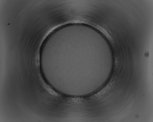 X0000100860934200807181133