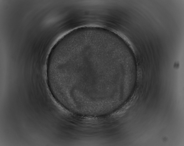 X0000100860935200807181133