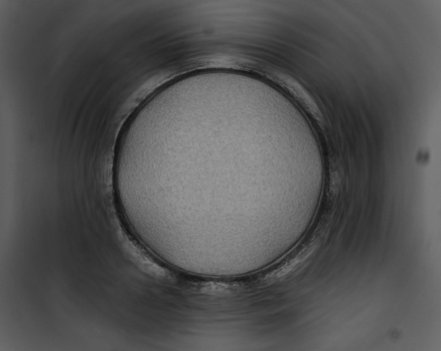 X0000100860938200807181133