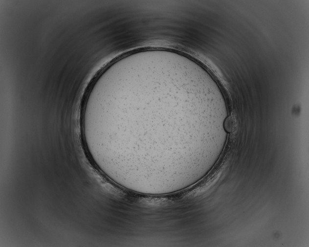 X0000100860939200807181133