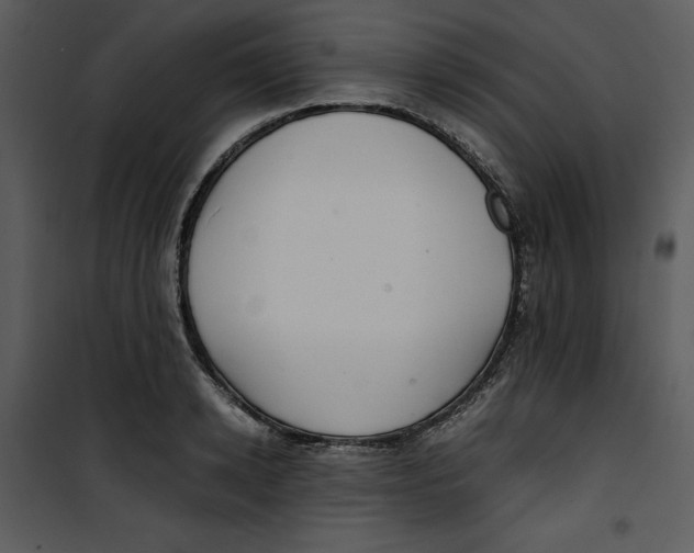 X0000100860942200807181133