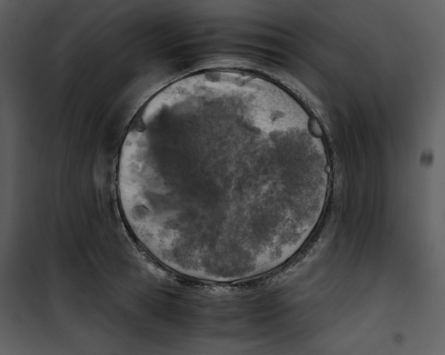 X0000100860945200807181133