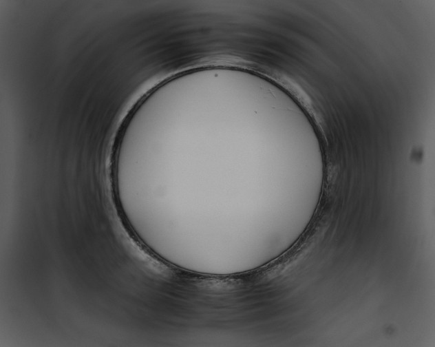 X0000100860947200807181133