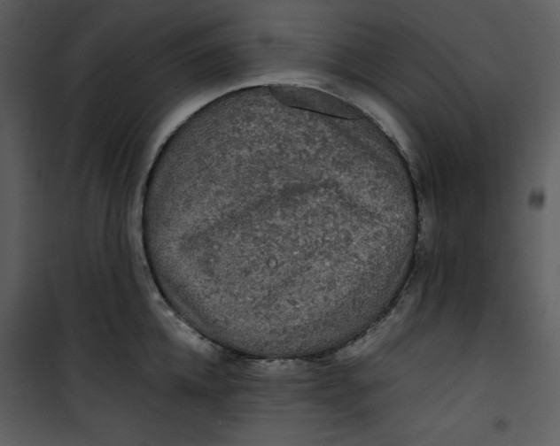 X0000100860952200807181133