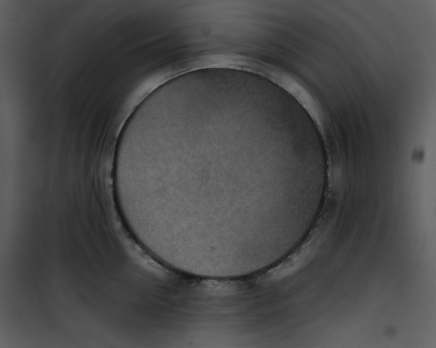 X0000100860954200807181133