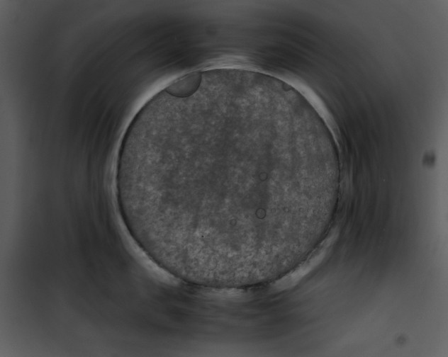 X0000100860957200807181133