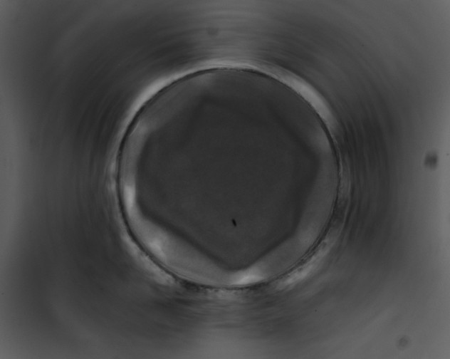 X0000100860958200807181133